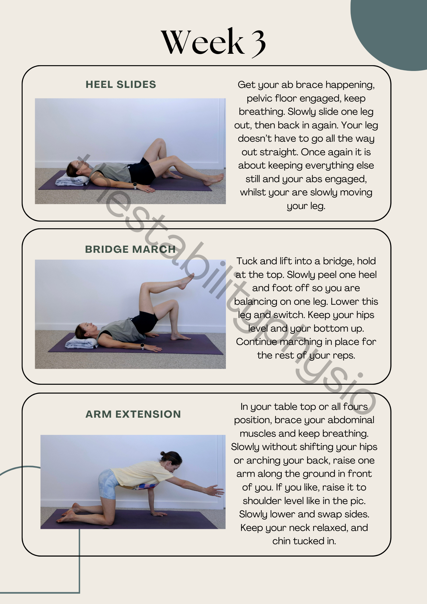 The Stability Physio 5 Week Beginner Core Program