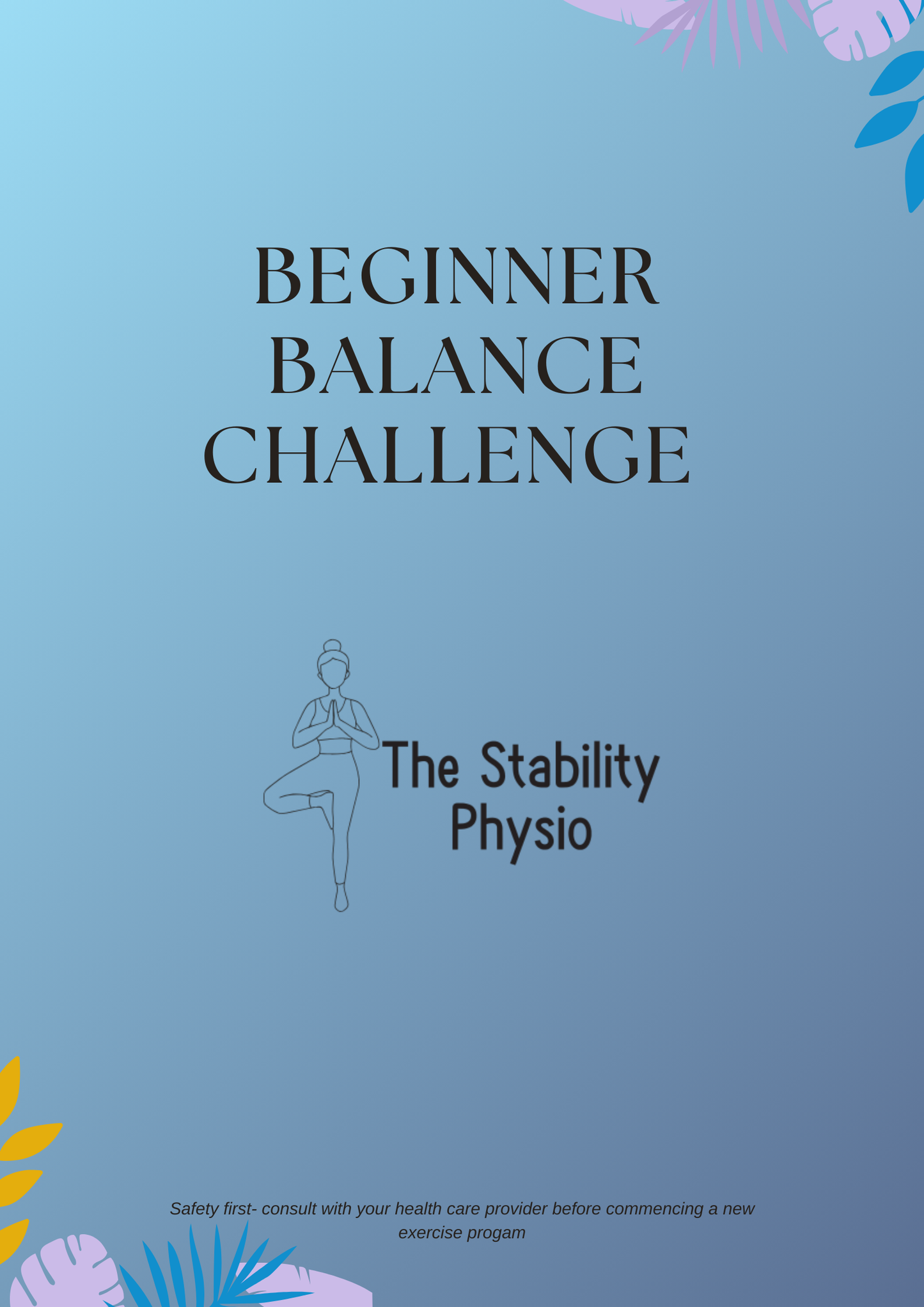 The Stability Physio: Beginner Balance Challenge