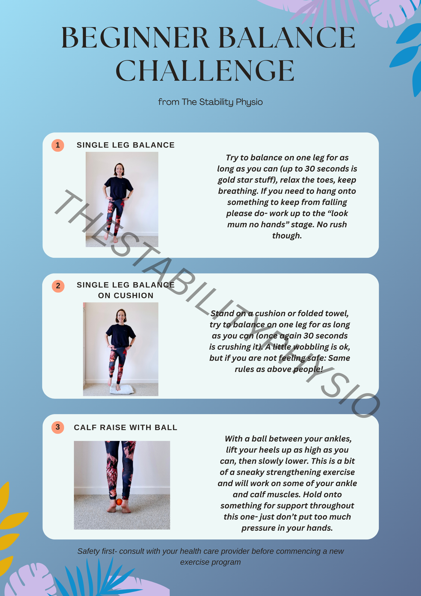 The Stability Physio: Beginner Balance Challenge