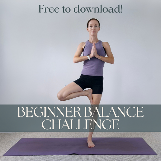 The Stability Physio: Beginner Balance Challenge