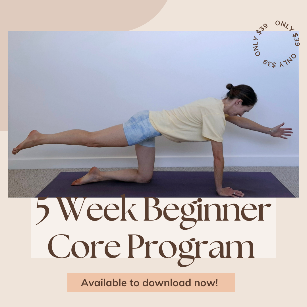 The Stability Physio 5 Week Beginner Core Program